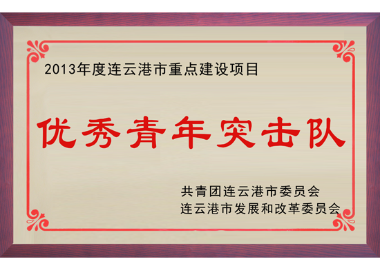 Lianyungang Outstanding Youth Commando Team Certificate